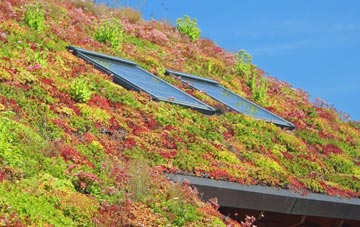 Old Hall living roof systems
